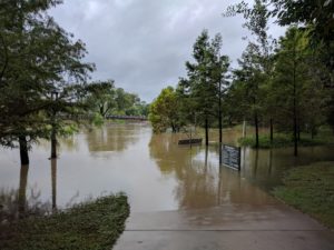 Sat, Aug 26 12:59:58 - Buffalo Bayou